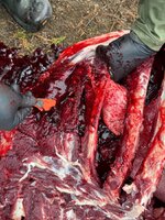 IMG_20250926_110113(1).jpg IMG_20250926_110113(1).jpg