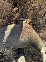 IMG_9302.jpeg IMG_9302.jpeg