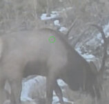 IMG_2224.jpeg IMG_2224.jpeg