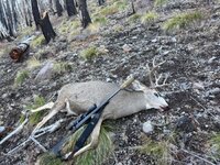 IMG_2039.jpeg IMG_2039.jpeg