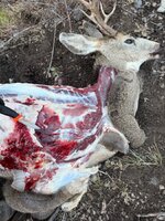 IMG_2044.jpeg IMG_2044.jpeg