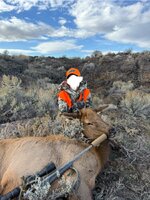 IMG_2090.jpeg IMG_2090.jpeg