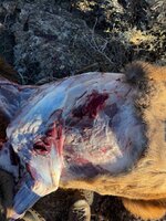 IMG_2092.jpeg IMG_2092.jpeg