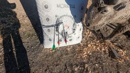 PXL_20251116_151555942.jpg PXL_20251116_151555942.jpg