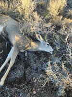 1000008104.jpg 1000008104.jpg