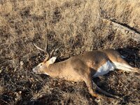 IMG_0638.jpeg IMG_0638.jpeg