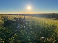 IMG_0595.jpeg IMG_0595.jpeg