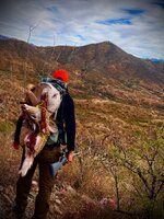 IMG_1727.jpeg IMG_1727.jpeg