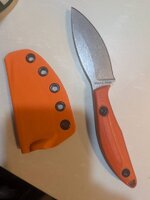 PXL_20251117_004122624.jpg PXL_20251117_004122624.jpg