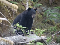 1763341045873.png 1763341045873.png