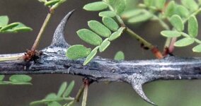 IMG_6953.jpeg IMG_6953.jpeg