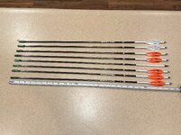 IMG_9475.jpeg IMG_9475.jpeg