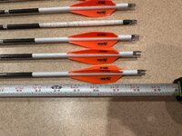 IMG_9476.jpeg IMG_9476.jpeg