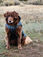 20251020_083707.jpg 20251020_083707.jpg