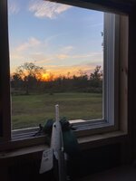 IMG_5420.jpeg IMG_5420.jpeg