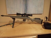 IMG_20251117_072528924.jpg IMG_20251117_072528924.jpg