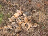 20250110_125041.jpg 20250110_125041.jpg