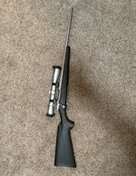 IMG_7516.jpeg IMG_7516.jpeg