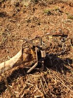 20250104_112551.jpg 20250104_112551.jpg