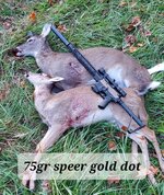 20251111_170711.jpg 20251111_170711.jpg