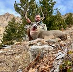 Mule Deer 2025.jpg