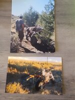 20220301_100620.jpg 20220301_100620.jpg