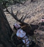 20251117_165939.JPG 20251117_165939.JPG