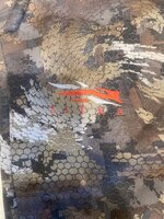 IMG_9099.jpeg