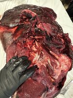 IMG_8574.jpeg IMG_8574.jpeg