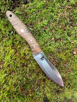 IMG_8388.jpeg IMG_8388.jpeg