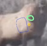 IMG_2253.jpeg IMG_2253.jpeg