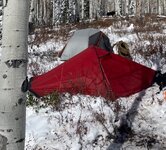 IMG_2975.jpeg