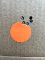 IMG_9617.jpeg IMG_9617.jpeg