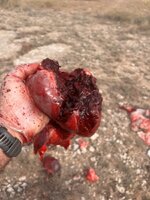 IMG_8643.jpeg IMG_8643.jpeg