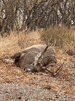 IMG_8639.jpeg IMG_8639.jpeg