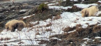 IMG_3575.jpg IMG_3575.jpg