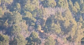 20231110_073611(1).jpg 20231110_073611(1).jpg