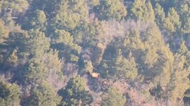 20231110_073611(2).jpg 20231110_073611(2).jpg