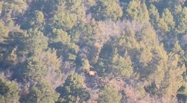 20231110_073611(3).jpg 20231110_073611(3).jpg