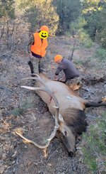 Screenshot_20251119_193749_Gallery.jpg Screenshot_20251119_193749_Gallery.jpg