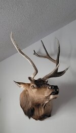 Screenshot_20251119_194002_Gallery.jpg Screenshot_20251119_194002_Gallery.jpg