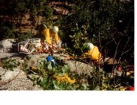 FB_IMG_1514820178187.jpg FB_IMG_1514820178187.jpg