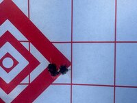 25 creed n555 100 yds.jpg