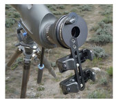 IMG_8610.jpeg IMG_8610.jpeg