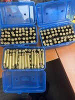 IMG_2949 Medium.jpeg