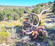 20230929_095448 (1).jpg