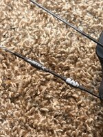 IMG_0337.jpeg IMG_0337.jpeg