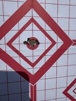 IMG_0124.jpeg IMG_0124.jpeg