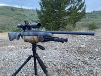 IMG_9141.jpeg IMG_9141.jpeg