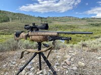 IMG_9434.jpeg IMG_9434.jpeg